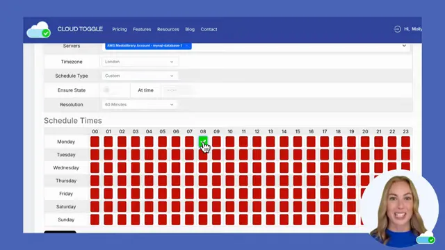 Custom schedule settings showing selection of a 1-hour period for maintenance